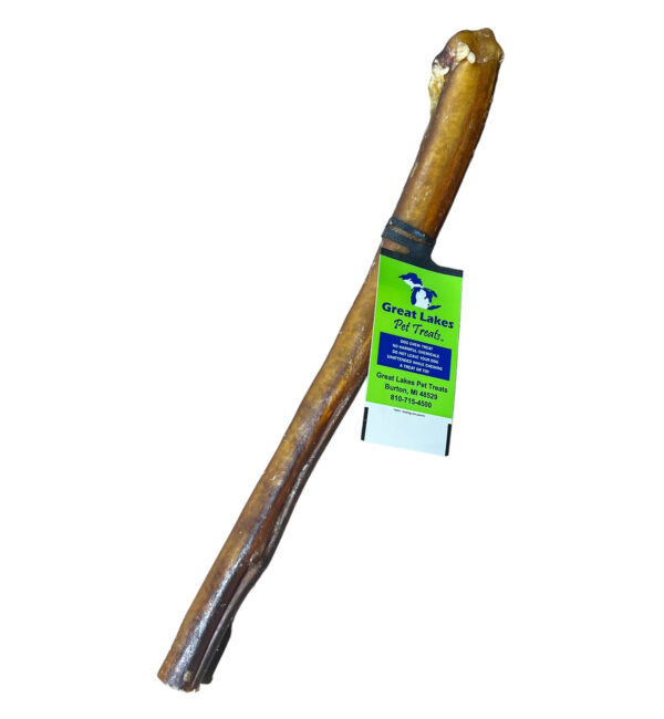 10"-12" Bull Stick - Regular